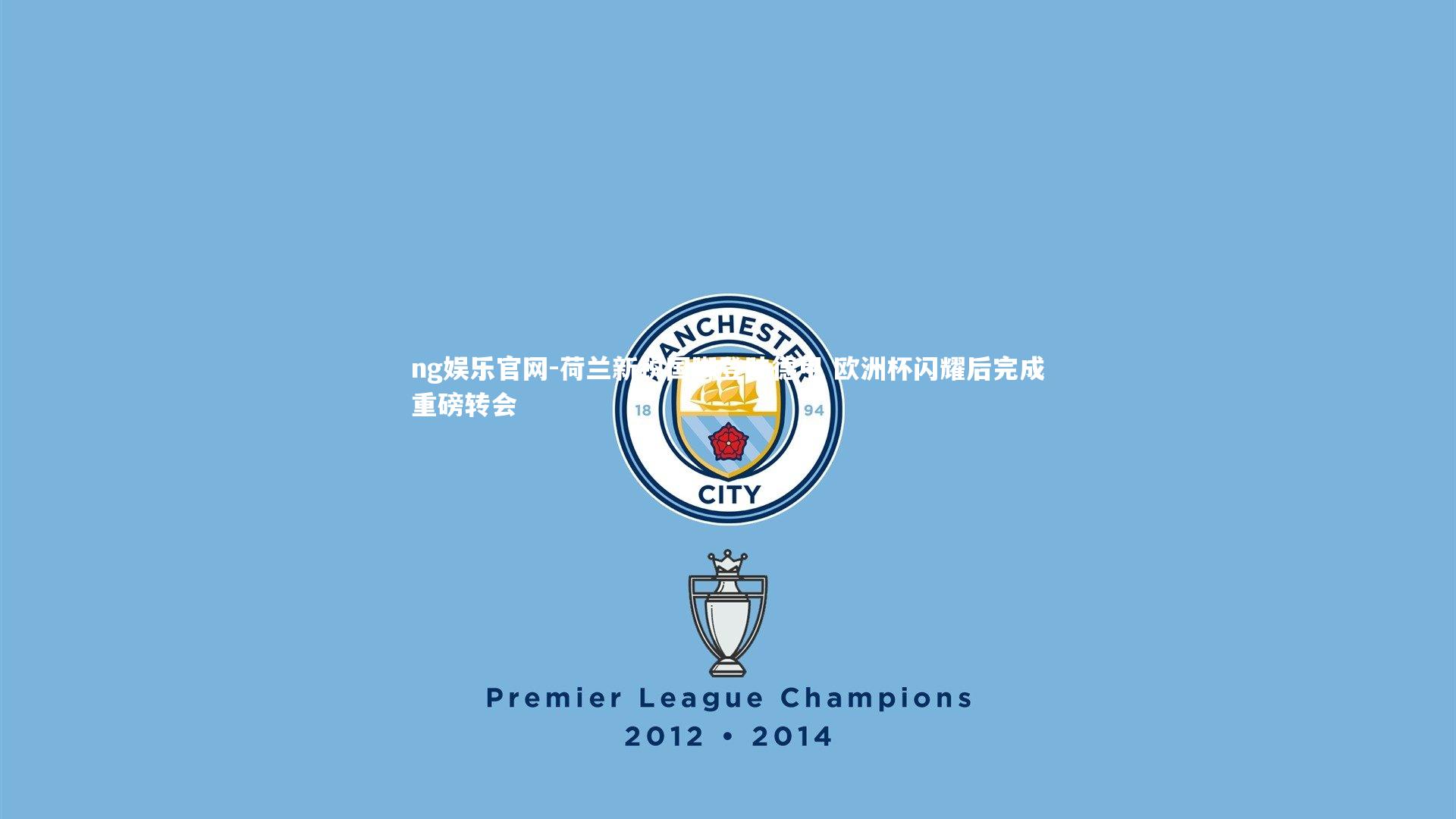 荷兰新锐国脚登陆德甲 欧洲杯闪耀后完成重磅转会